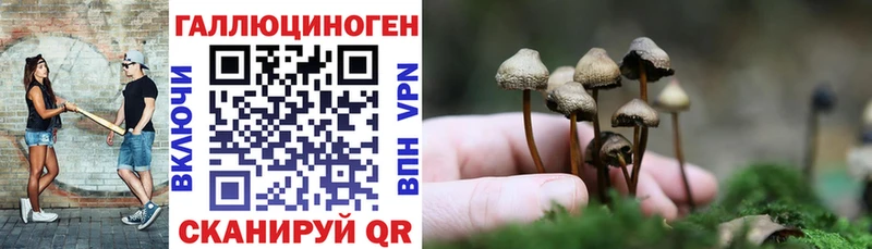 Галлюциногенные грибы Psilocybe купить наркотики сайты Биробиджан
